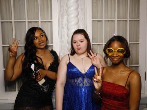 Fitzgerald Prom photo 219