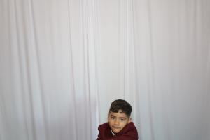 Grogis photo 11