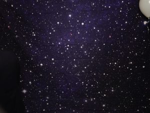 Make It Shine photo 171