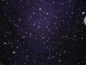 Make It Shine photo 199
